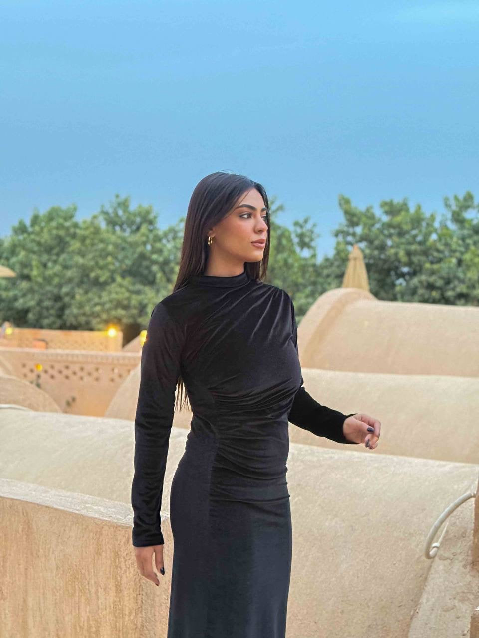 Velvet Dress