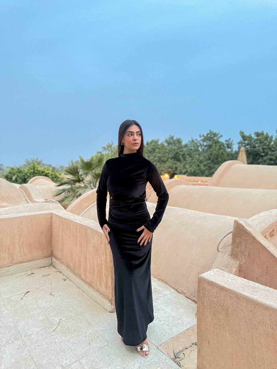 Velvet Dress